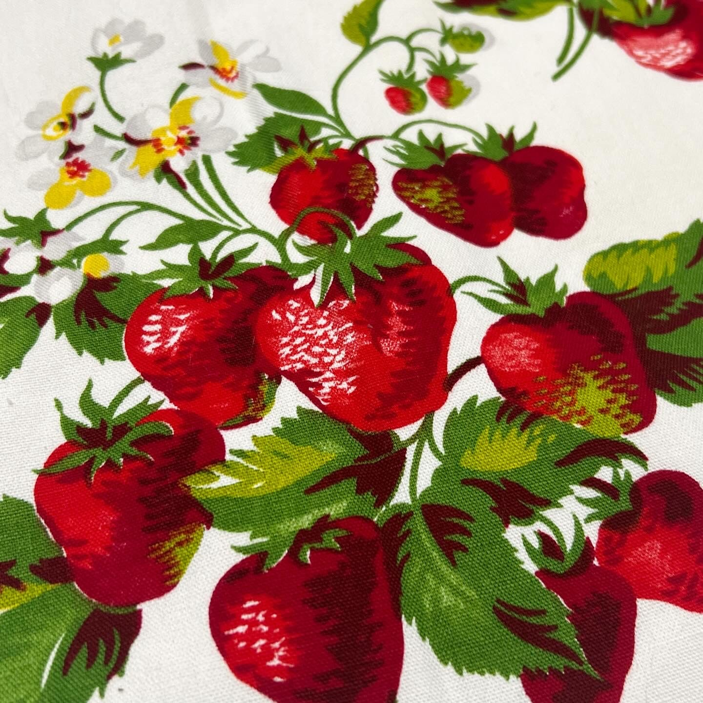 Strawberry Secondhand Vest